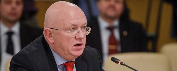 Rusya Dışişleri Bakan Yardımcısı Vasiliy Nebenzya - Sputnik Türkiye