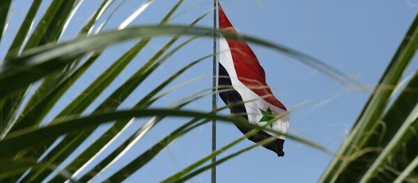 Suriye bayrağı - Sputnik Türkiye