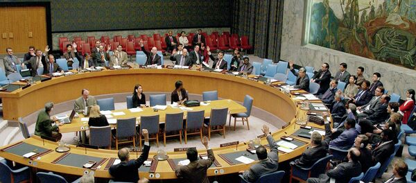 Birleşmiş Milletler - Sputnik Türkiye