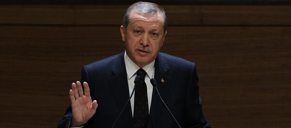 Türkiye Cumhurbaşkanı Recep Tayyip Erdoğan - Sputnik Türkiye