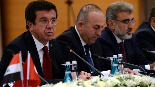 Türkiye Ekonomi Bakanı Nihat Zeybekci - Sputnik Türkiye