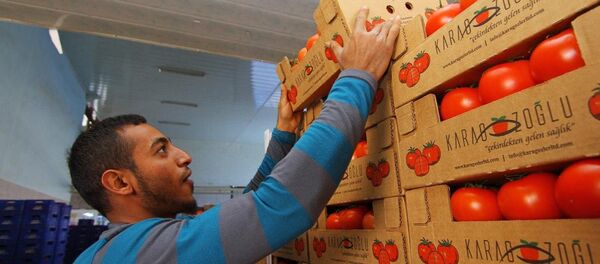 Türkiye-Rusya ihracatı, Antalya'da masaya yatırılacak - Sputnik Türkiye