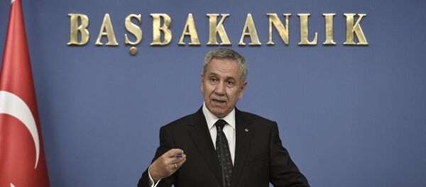 Başbakan Yardımcısı Bülent Arınç - Sputnik Türkiye