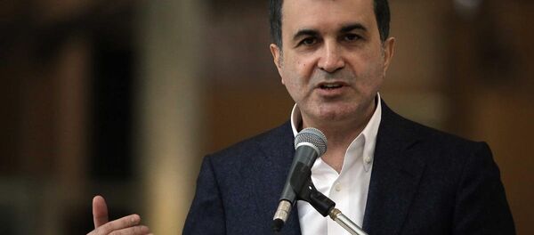 Türkiye Kültür ve Turizm Bakanı Ömer Çelik - Sputnik Türkiye