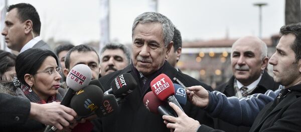 Türkiye Başbakan Yardımcısı Bülent Arınç - Sputnik Türkiye