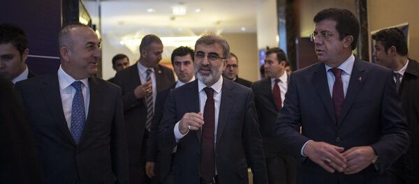 Türkiye Enerji ve Tabii Kaynaklar Bakanı Taner Yıldız - Sputnik Türkiye