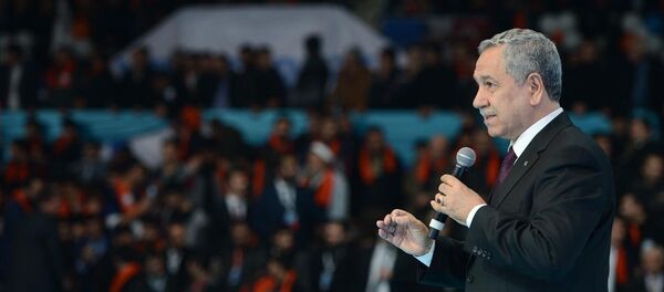 Türkiye Başbakan Yardımcısı Bülent Arınç - Sputnik Türkiye