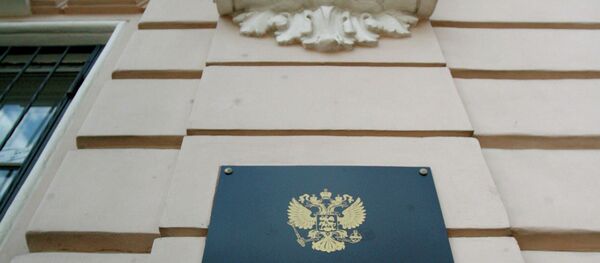 Rusya Federal Göç İdaresi - Sputnik Türkiye