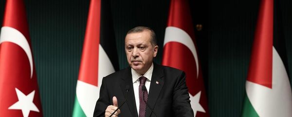 Türkiye Cumhurbaşkanı Recep Tayyip Erdoğan - Sputnik Türkiye