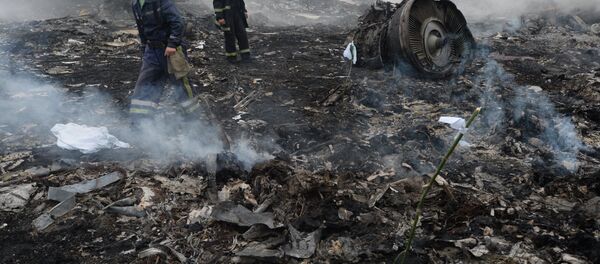 Ukrayna'da Boeing kazası - Sputnik Türkiye