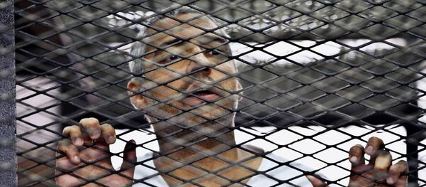 Mısır asıllı Kanadalı gazeteci Muhammed Fahmy Mısır asıllı Kanadalı gazeteci Muhammed Fahmy - Sputnik Türkiye