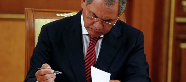 Rusya Savunma Bakanı Sergey Şoygu - Sputnik Türkiye