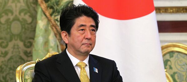 Japonya Başbakanı Şinzo Abe - Sputnik Türkiye