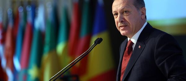 Türkiye Cumhurbaşkanı Recep Tayyip Erdoğan - Sputnik Türkiye