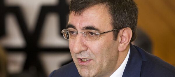 Kalkınma Bakanı Cevdet Yılmaz - Sputnik Türkiye