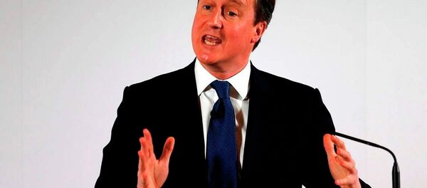 İngiltere Başbakanı David Cameron İngiltere Başbakanı David Cameron - Sputnik Türkiye