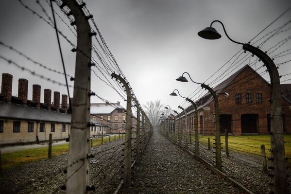 Auschwitz Toplama Kampı - Sputnik Türkiye