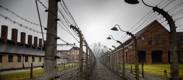 Auschwitz Toplama Kampı - Sputnik Türkiye