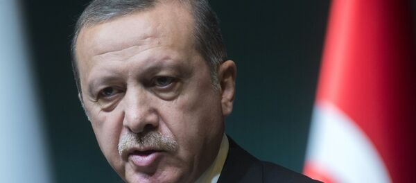 Türkiye Cumhurbaşkanı Recep Tayyip Erdoğan - Sputnik Türkiye