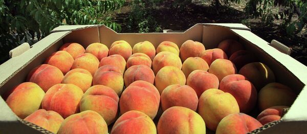 Meyveler. Şeftali - Sputnik Türkiye