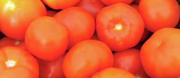 Domates. Sebzeler - Sputnik Türkiye