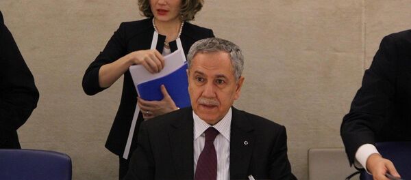 Başbakan Yardımcısı Bülent Arınç - Sputnik Türkiye