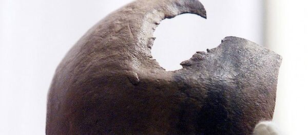 Ruslar 2500 yıllık beyin ameliyatını analiz etti - Sputnik Türkiye