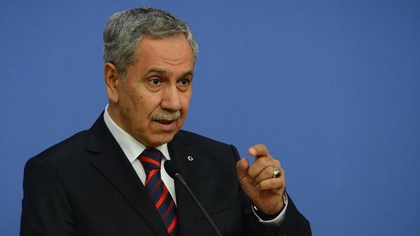 Başbakan Yardımcısı ve Hükümet Sözcüsü Bülent Arınç - Sputnik Türkiye