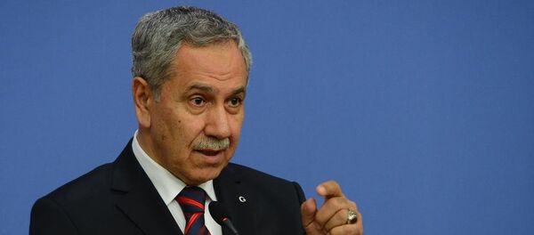 Başbakan Yardımcısı ve Hükümet Sözcüsü Bülent Arınç - Sputnik Türkiye