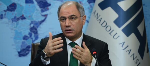 İçişleri Bakanı Efkan Ala - Sputnik Türkiye