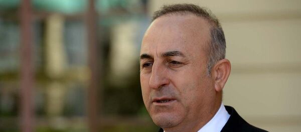 Dışişleri Bakanı Mevlüt Çavuşoğlu - Sputnik Türkiye