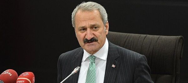 Eski Ekonomi Bakanı Zafer Çağlayan - Sputnik Türkiye