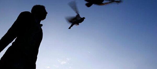 Fotoğraf sanatçısı Serkant Hekimci'nin eserleri - Sputnik Türkiye