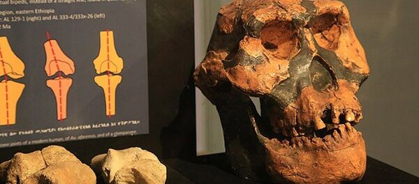 Etiyopya'da 3 milyon yıllık insansı fosil Etiyopya'da 3 milyon yıllık insansı fosil - Sputnik Türkiye
