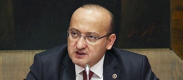 Yalçın Akdoğan - Sputnik Türkiye