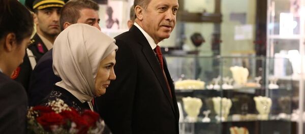 Cumhurbaşkanı Recep Tayyip Erdoğan Küba'da - Sputnik Türkiye