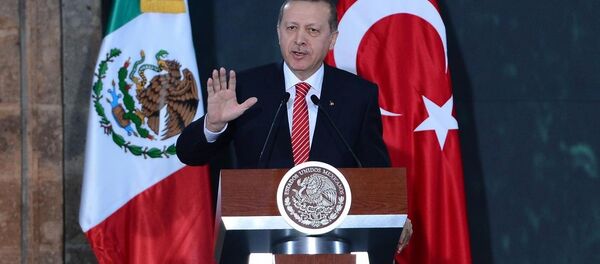 Cumhurbaşkanı Recep Tayyip Erdoğan - Sputnik Türkiye