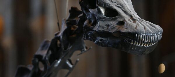 Dinozor - Sputnik Türkiye