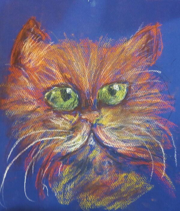 Kedi - Sputnik Türkiye