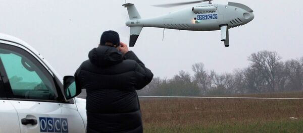 AGİT Ukrayna - Sputnik Türkiye