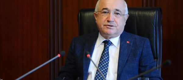 TBMM Başkanı Cemil Çiçek - Sputnik Türkiye