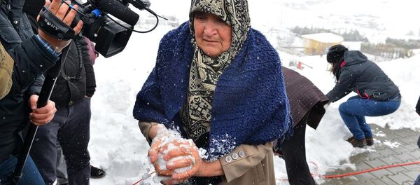 Nuh Köklü - Sputnik Türkiye