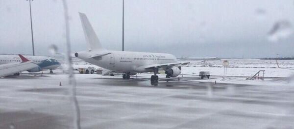 Türk Hava Yolları - Sputnik Türkiye