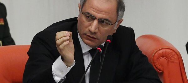 İçişleri Bakanı Efkan Ala - Sputnik Türkiye