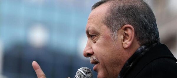 Cumhurbaşkanı Recep Tayyip Erdoğan - Sputnik Türkiye