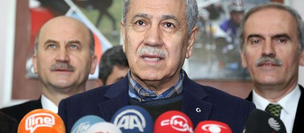 Başbakan Yardımcısı Bülent Arınç - Sputnik Türkiye