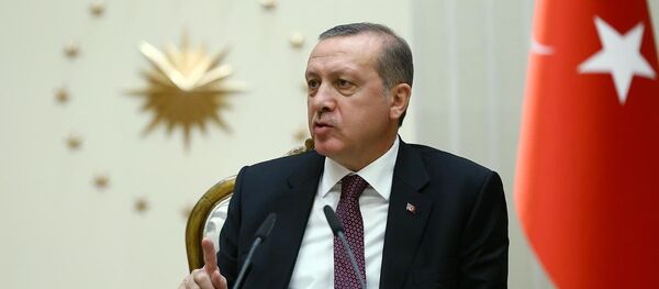 Cumhurbaşkanı Recep Tayyip Erdoğan - Sputnik Türkiye