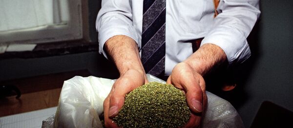 Esrar, marihuana - Sputnik Türkiye