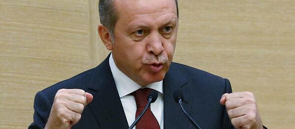 Recep Tayyip Erdoğan - Sputnik Türkiye