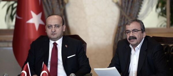 Başbakan Yardımcısı Yalçın Akdoğan - HDP İstanbul Milletvekili Sırrı Süreyya Önder - Sputnik Türkiye